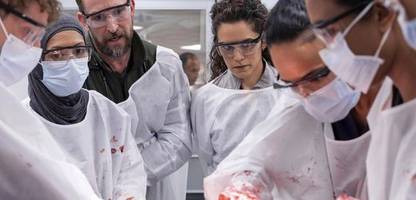 hbo-erfolgsserie »the pitt«: heilsames fernsehen