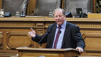 AfD verbieten: In der Hamburgischen Bürgerschaft geht es stürmisch zu