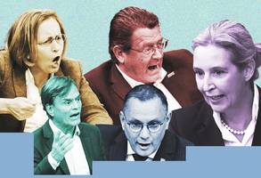 Bundestag: Wie sich die AfD im Parlament benimmt