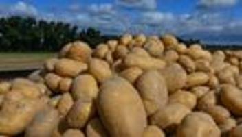 aktion: 4.000 tonnen kartoffeln liegengeblieben - tafeln profitieren