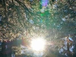 solarenergie baut deutschland um: der strompreis entkoppelt sich vom gaspreis - das ist eine grundlegende veränderung