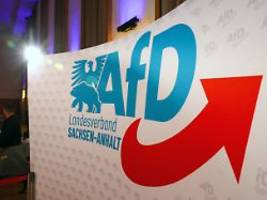 Vor der Wahl in Sachsen-Anhalt: Die große Schlammschlacht: Verspielt die AfD ihren Vorsprung?