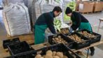 aktion: kartoffel-flut in berlin - 22 tonnen für die tafel