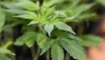 Drogenkriminalität: Razzia bei mutmaßlicher Drogenbande