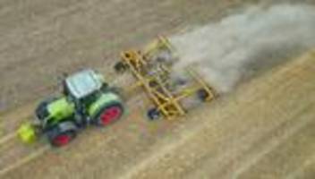 Landwirtschaft: Brandenburg verliert Bauernhöfe - Mehr Huhn, weniger Rind