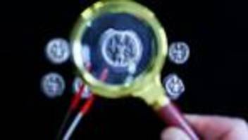 Münzfund: Zehn seltene Silbermünzen in der Altmark entdeckt