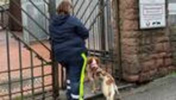 Notfälle: Vermisster Achtjähriger aus Frankfurt wohlbehalten gefunden