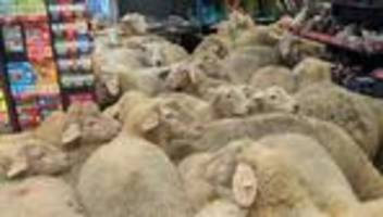 Weltflucht: Es lebe der Eskapismus