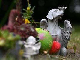 Verlust schmerzlicher: Trauer um Haustiere bei vielen größer als um Menschen