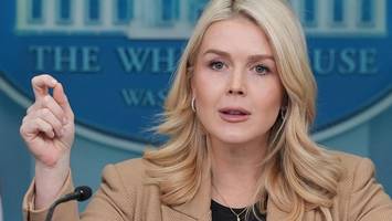 „linker schmierfink“ – trump-sprecherin leavitt beschimpft journalist wüst