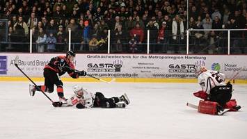 eishockey-derby in farmsen: wie die crocodiles topstürmer kriz ersetzen wollen