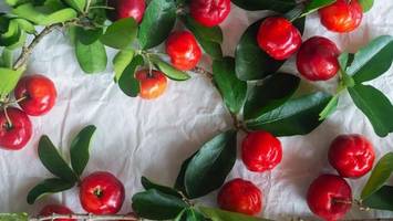 vitamin c: diese lebensmittel sind die besten quellen