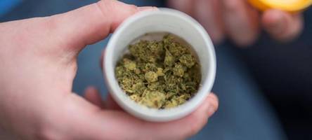 cannabis-hersteller canify aus leipheim warnt vor schärferen regeln