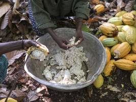 Literatur: Blut und Schokolade