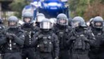 Demonstrationen: Millionen-Kosten für Polizeieinsatz bei Anti-AfD-Protesten