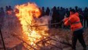 Weihnachtsbäume entsorgt: Tannenbäume brennen am Strelasund mit einer Woche Verspätung