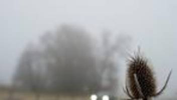 Wetter: Der Samstag wird trüb - die Nacht zum Sonntag glatt