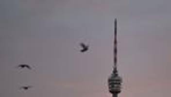 Wetter im Südwesten: Nebel und Frost im Südwesten – Sonne nur in höheren Lagen