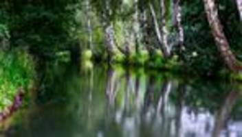 Überflutungsgefahr: Umweltamt will Hochwasserschutz im Spreewald testen