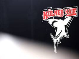 Historische Bestmarke greifbar: Kölner Haie fressen sich rekordverdächtig durch die DEL