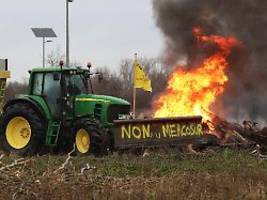 vom widerstand zur einigung: warum die agrarlobby den mercosur-deal fast verhinderte