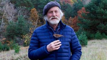 Engagement im Naturschutz: Große Auszeichnung für Geesthachts Vogelflüsterer