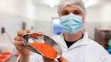 Frischer Kaviar: Werksverkauf startet – aber nur für begrenzte Zeit