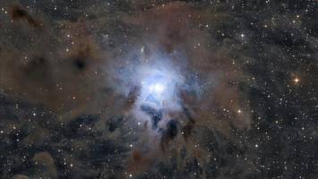 Sternenbild von 18 Jahre altem Schleswig-Holsteiner geht um die Welt