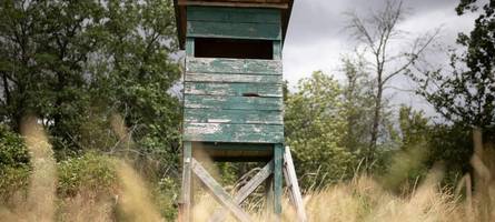 „Oft Monate im Voraus ausgebucht“: Warum ist die Jagd wieder so populär?