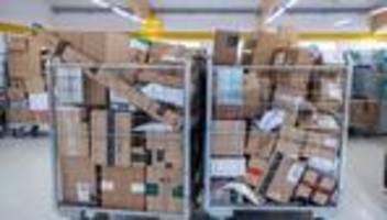 bei der arbeit gebissen: hund springt aus küchenfenster und beißt paketzusteller