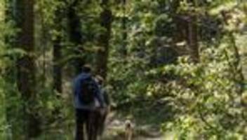 Freizeit: Tourismus in Hessen