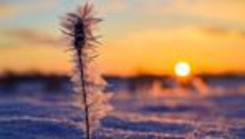 Wetter: Frostiger Sonntag mit viel Sonne in Berlin und Brandenburg