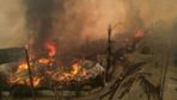 chile: zehntausende müssen in chile vor waldbränden flüchten