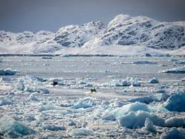 Schnee, Eis, Minusgrade: Grönlandeinsatz wird für Soldaten zur Grenzerfahrung