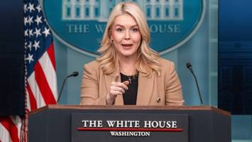 „klagen euch den arsch weg“ – trump-sprecherin leavitt droht us-sender