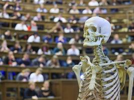 Bafög: Die schleppende Digitalisierung kostet junge Menschen das Studium