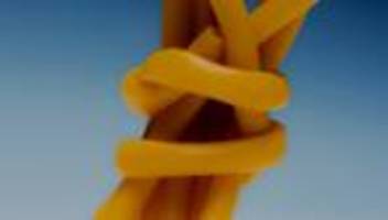 Darmsanierung: Wie Sie Ihre Darmflora aufbauen – und wie besser nicht