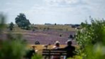 Umfrage: Schön, aber langweilig: Das ist Niedersachsens Image