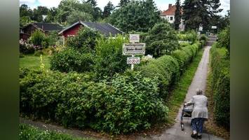 Kleingartensicherung: Was das Berliner Gesetz leisten kann – und was nicht