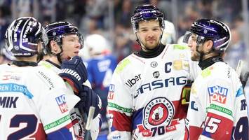 Eisbären: Der große Wandel braucht noch etwas Geduld