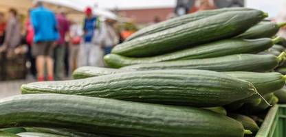 gurken verteuern sich drastisch: 80 prozent teurer in zwei monaten
