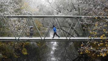 fernwärme-ausbau in eimsbüttel: im isebekpark müssen dafür bäume weichen