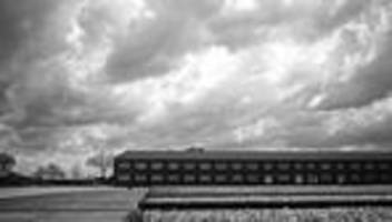 kz-gedenkstätten: die ki macht opfer jünger, hübscher, verniedlicht das leid