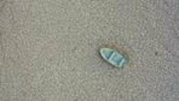 Vereinte Nationen: UN-Bericht warnt vor globalem Wasserbankrott