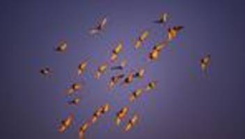 Wetter: Frost am Morgen und tagsüber viel Sonne