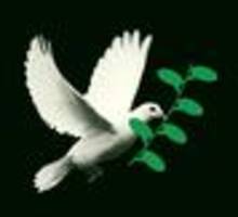 Julian Nida-Rümelin: Man wird jetzt wieder träumen müssen