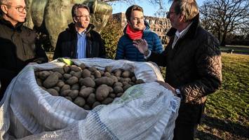 Gratis-Kartoffeln für Berlin: So geht es nach der Aktion weiter
