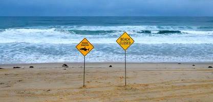 Hai-Attacken in Australien: Drei Angriffe in 26 Stunden – Sydney sperrt sämtliche Strände im Norden