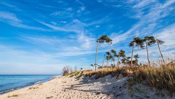 neue kriminalromane für einen jahresbeginn mit mächtig nervenkitzel