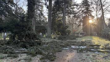 unter der schneelast gebrochen: bergedorfer friedhof verliert 120 bäume